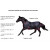 RugBe Zero.1 Couverture d'extérieur pour cheval toutes saisons. Noir et rouge