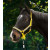 Licol NeonReflex pour poney, pur sang ou cheval de selle.